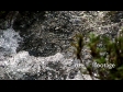 Water 6 369